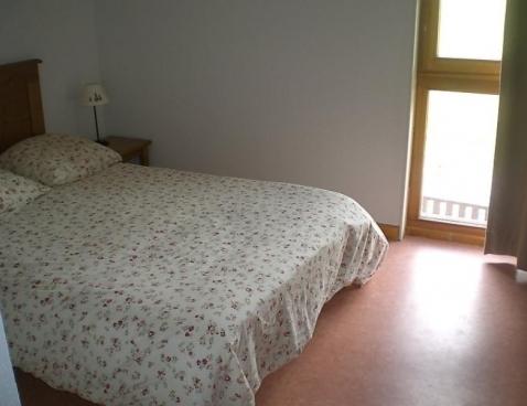 Le Bouquetin II - Vars