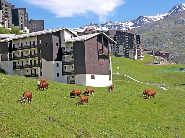 Les Asters 10 - Les Menuires Fontanettes