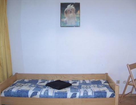 Lachenal - Chamonix Centre