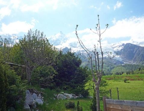 Les Pelarnys - Chamonix Sud