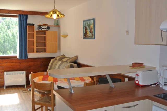 LE BELVEDERE 46111 - Les Orres