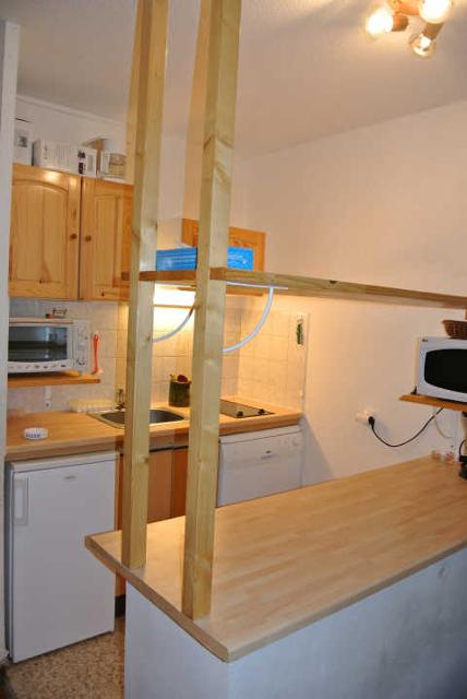 LES CARLINES 46155 - Les Orres