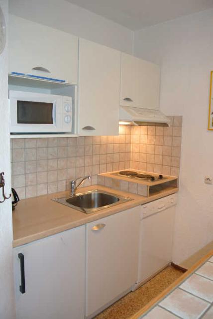 LES CARLINES 46156 - Les Orres