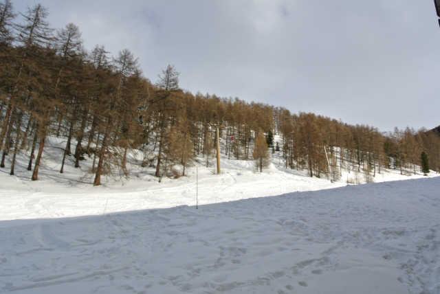 MONTS DU BOIS D OR 46178 - Les Orres