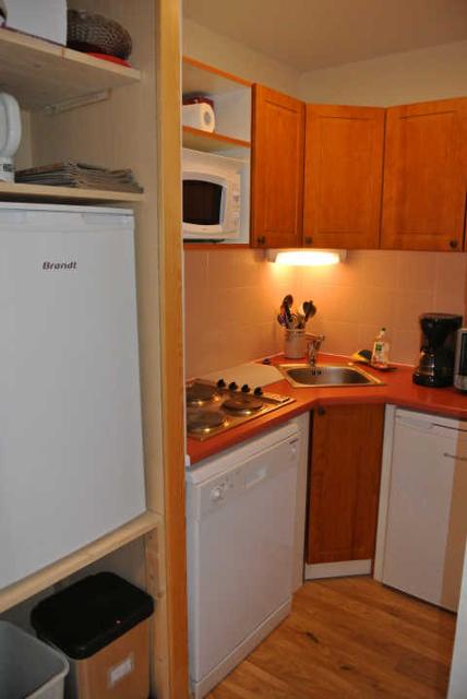 MELEZES D'OR 46193 - Les Orres