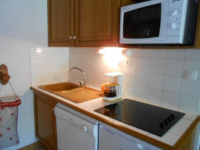 BALCON DES PISTES 52759 - Les Deux Alpes 1800