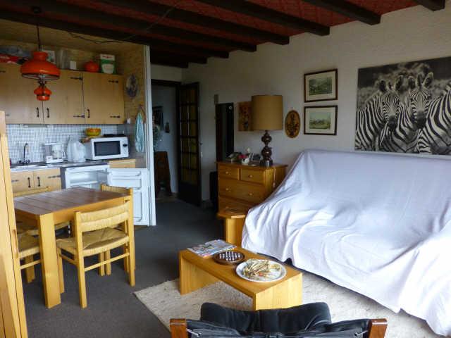 Gémeaux (les) 52867 - Alpe d'Huez