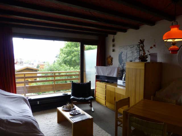 Gémeaux (les) 52867 - Alpe d'Huez