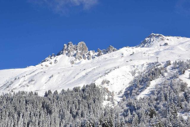 Appartements MONT VALLON - Méribel Mottaret 1850
