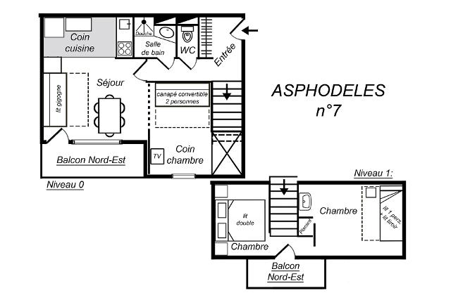 Appartements RESIDENCE ASPHODELES - Méribel Mottaret 1850