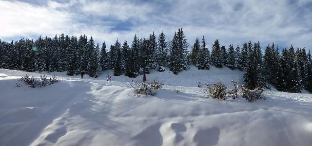 Appartements Nogentil B - Courchevel 1850