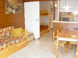 Piniers 48704 - Orcières Merlette 1850