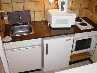 Piniers 48704 - Orcières Merlette 1850