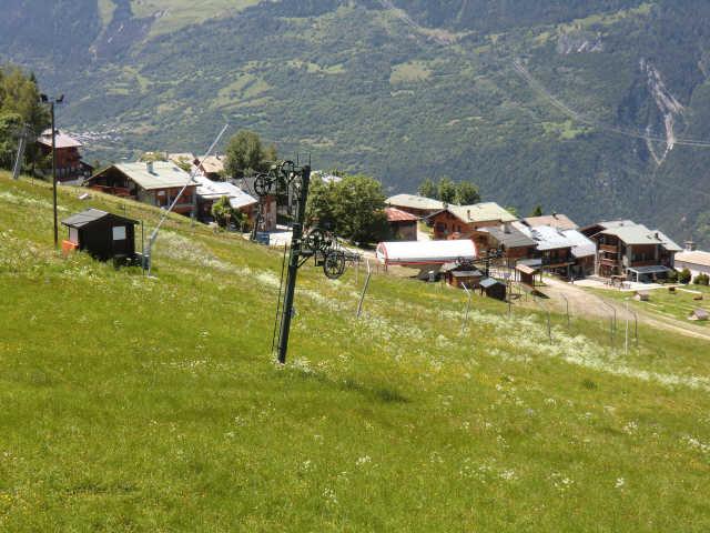 Christiana 45088 - Plagne Montalbert
