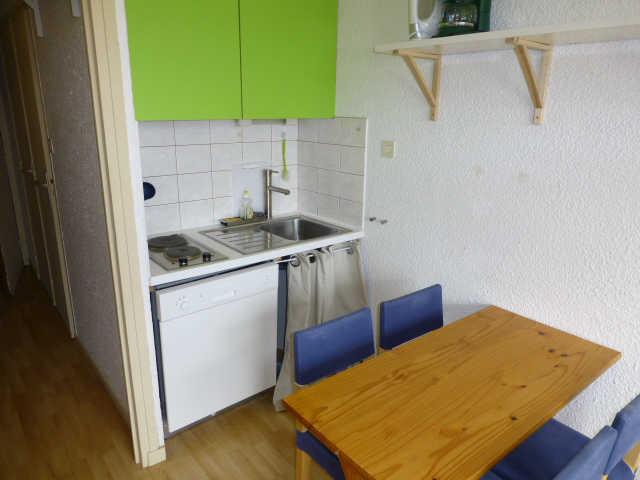 Terrasses de l'Alpe 53234 - Alpe d'Huez