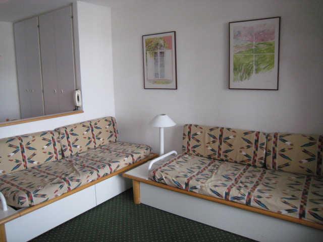 Ours blanc (l') 7629 - Alpe d'Huez