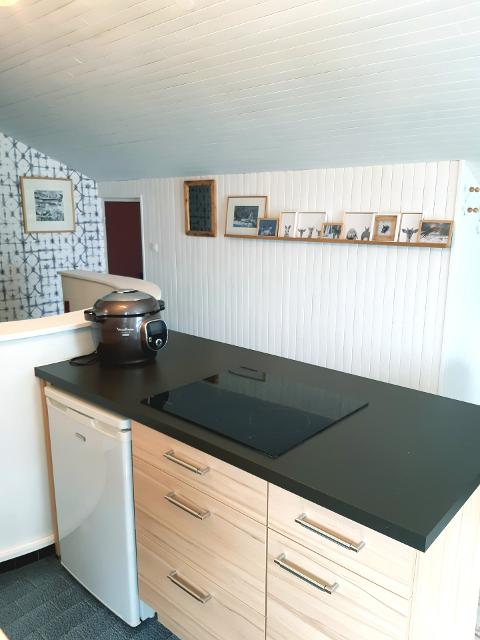 Appartements Bleuets - Les Deux Alpes Venosc