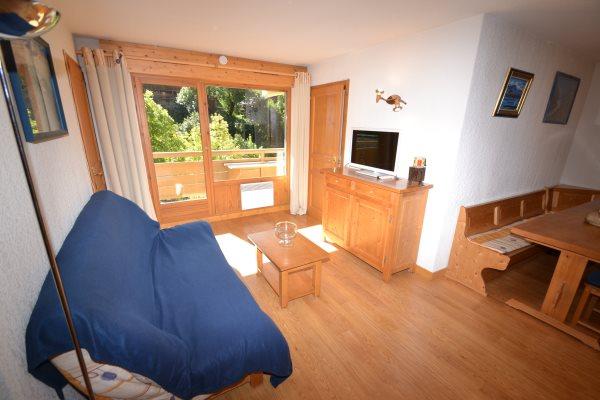 Pistes du Soleil 014 - Le Grand Bornand