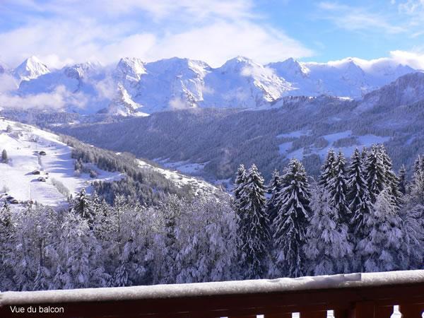 Fior Di Monte 301 - Le Grand Bornand