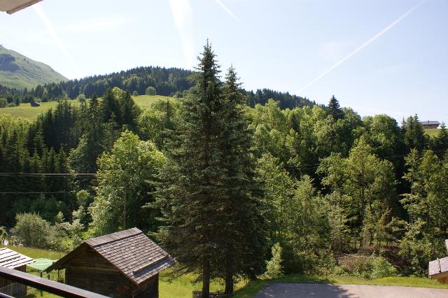 Appartement Touviere 306 - Le Grand Bornand