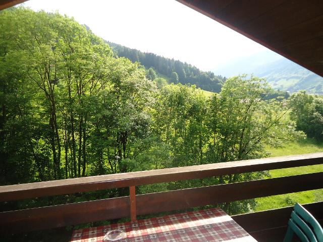 Appartement Tardevant 001 - Le Grand Bornand