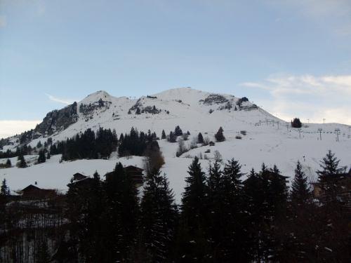 Blanche Neige 301 - Le Grand Bornand
