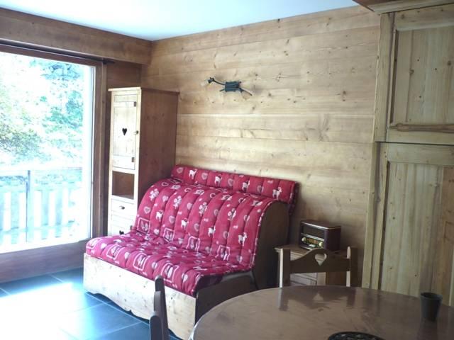 Castel Neiges 301 - Le Grand Bornand