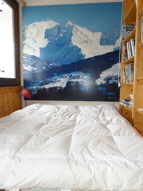 Appartements Flèche - Plagne - Aime 2000