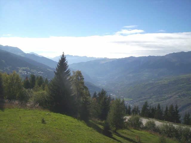 Armoise 49261 - Les Arcs 1800