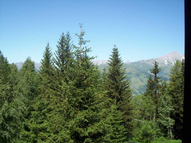 Miravidi 49277 - Les Arcs 1800