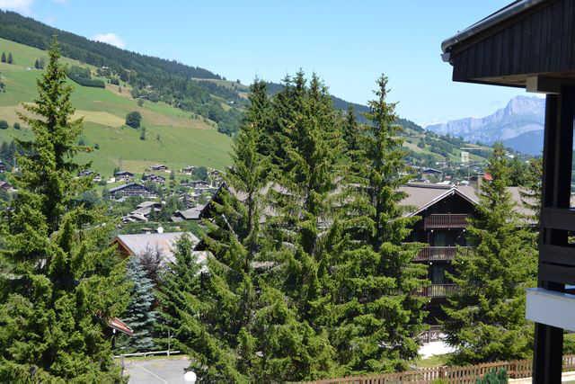 RESIDENCES DE ROCHEBRUNE 52868 - Megève