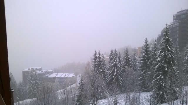 Armoise 53140 - Les Arcs 1800