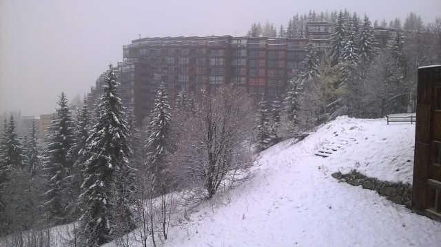 Armoise 53140 - Les Arcs 1800