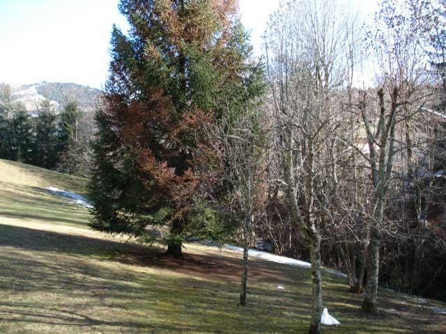LA RIANTE COLLINE DU HAUT 50976 - Megève
