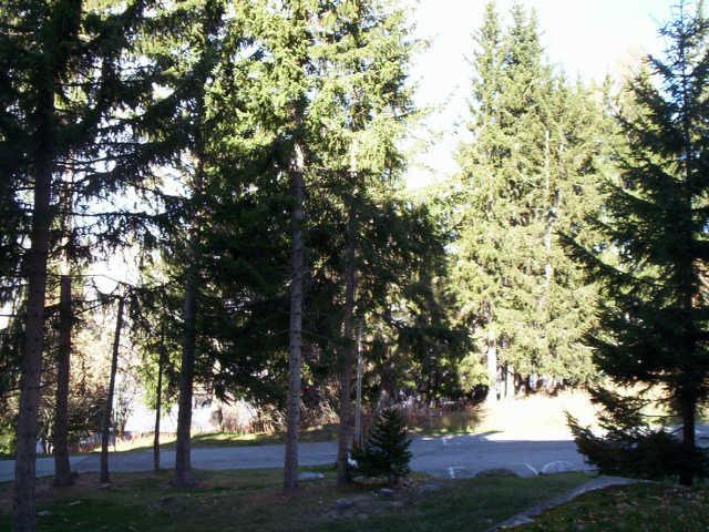 Lauzières 49287 - Les Arcs 1800