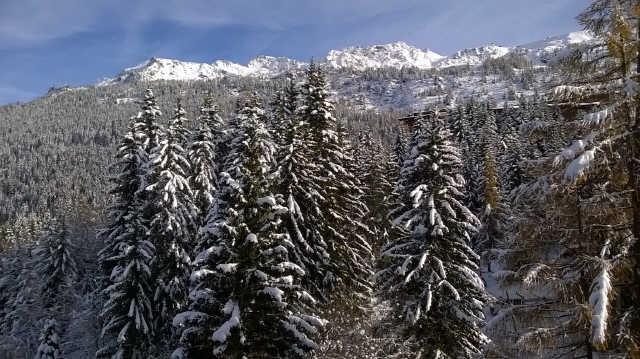 BELLES CHALLES 51481 - Les Arcs 1800