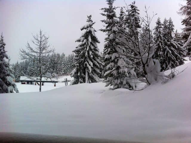 Mirantin II 49321 - Les Arcs 1800