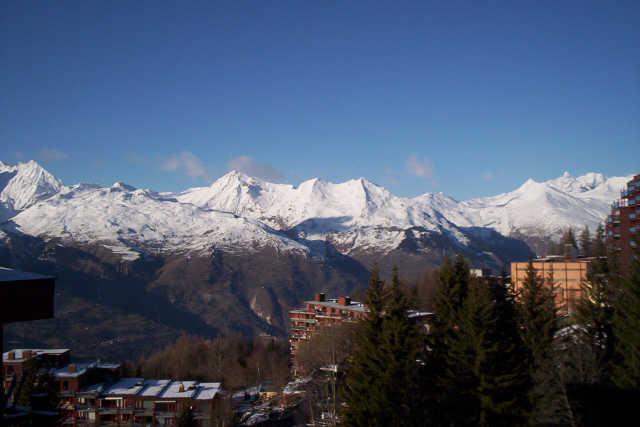 Armoise 49319 - Les Arcs 1800