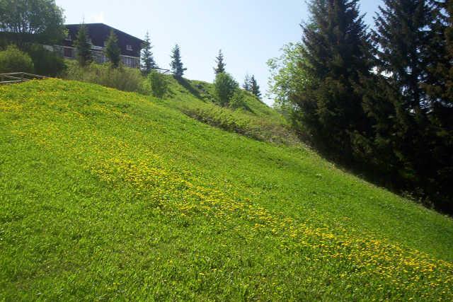 Aiguille Grive I 49285 - Les Arcs 1800