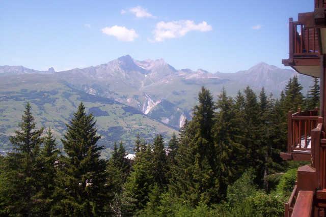 Alpage du Chantel 49304 - Les Arcs 1800