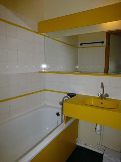 Ours blanc (l') 43409 - Alpe d'Huez