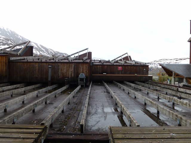 Ours blanc (l') 43409 - Alpe d'Huez