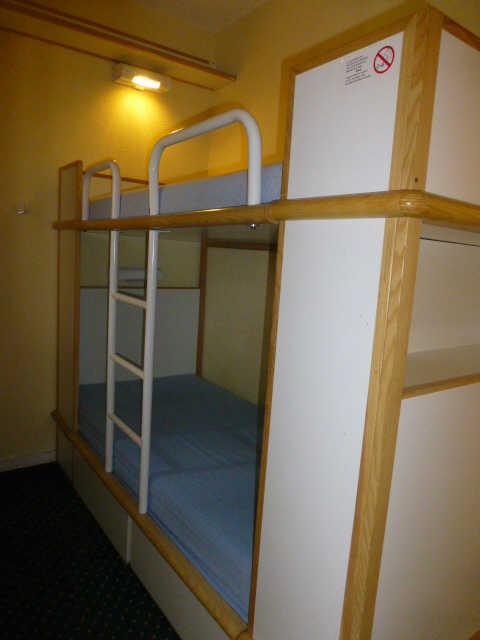 Ours blanc (l') 43409 - Alpe d'Huez