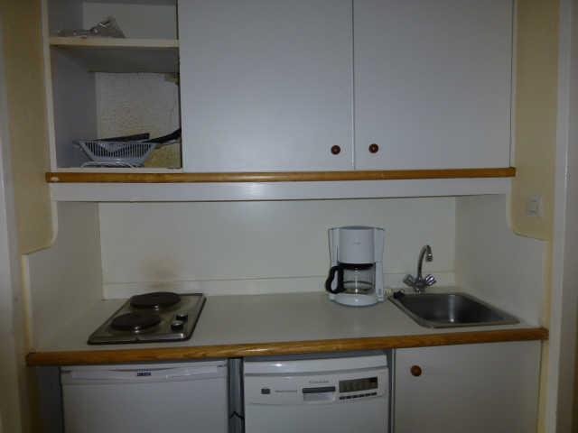 Ours blanc (l') 43409 - Alpe d'Huez