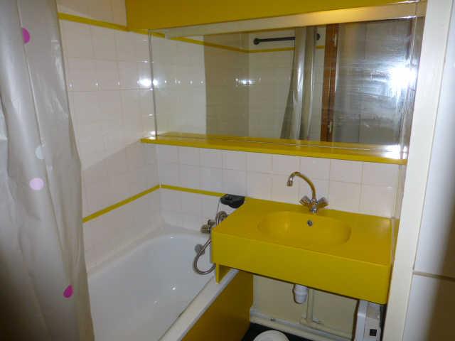 Ours blanc (l') 43409 - Alpe d'Huez