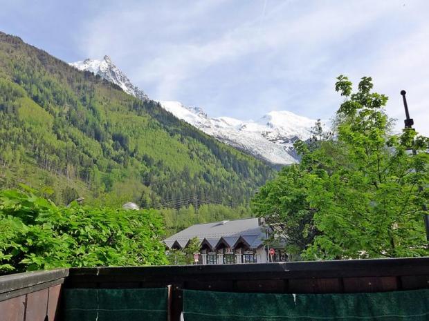 Jonquilles - Chamonix Sud