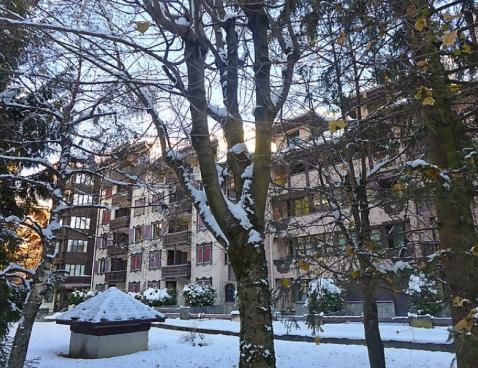 Jonquilles - Chamonix Sud