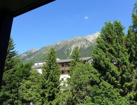 Jonquilles - Chamonix Sud