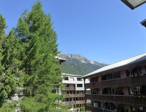 Jonquilles - Chamonix Sud