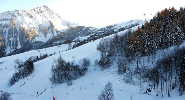 travelski home choice - Appartements ZODIAQUE - Le Corbier